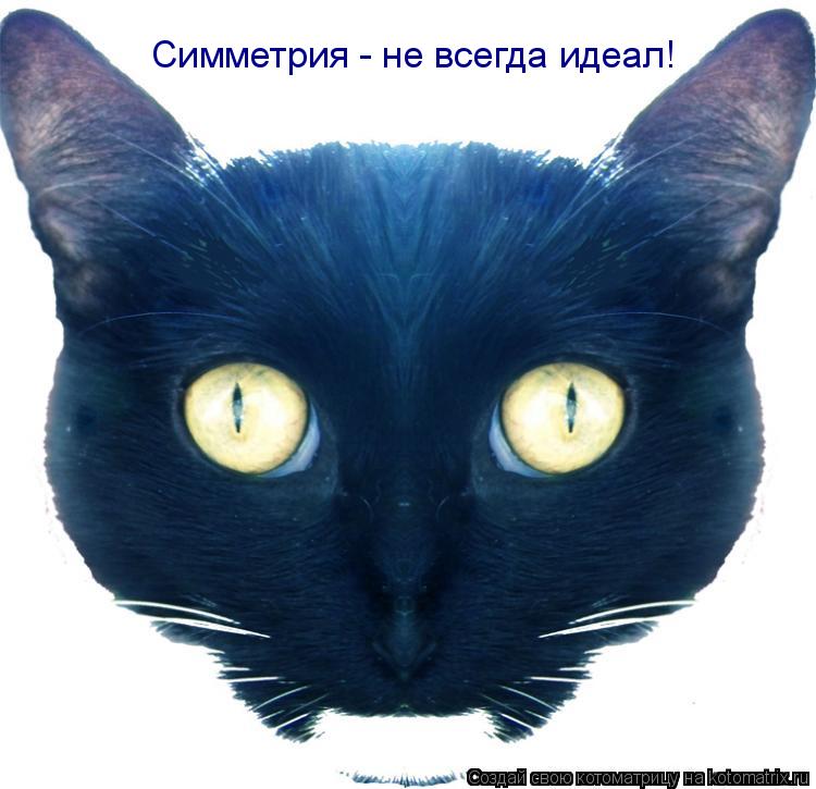 Котоматрица: Симметрия - не всегда идеал!
