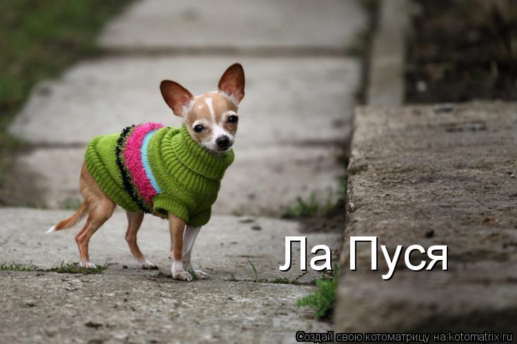 Ла Пуся... Котоматрица: Ла Пуся