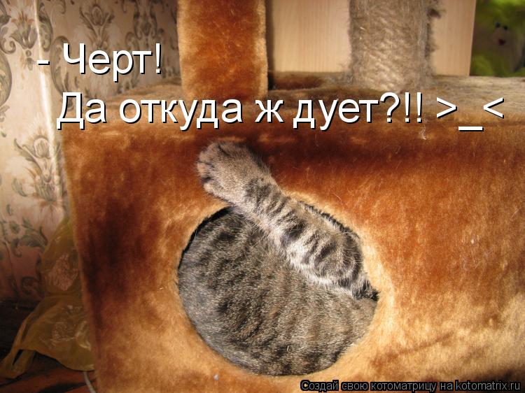 - Черт! Да откуда ж дует?!! >_<... Котоматрица: - Черт! Да откуда ж дует?!! >_<