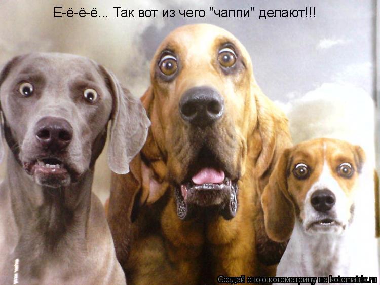 Е-ё-ё-ё... Так вот из чего "чаппи" делают!!!... Котоматрица: Е-ё-ё-ё... Так вот из чего "чаппи" делают!!!