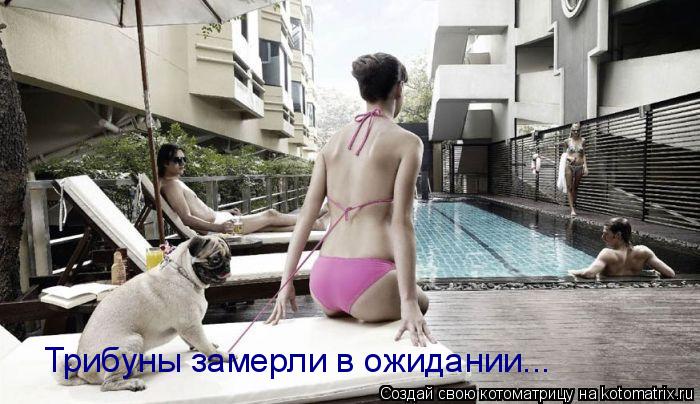 Трибуны замерли в ожидании...... Котоматрица: Трибуны замерли в ожидании...