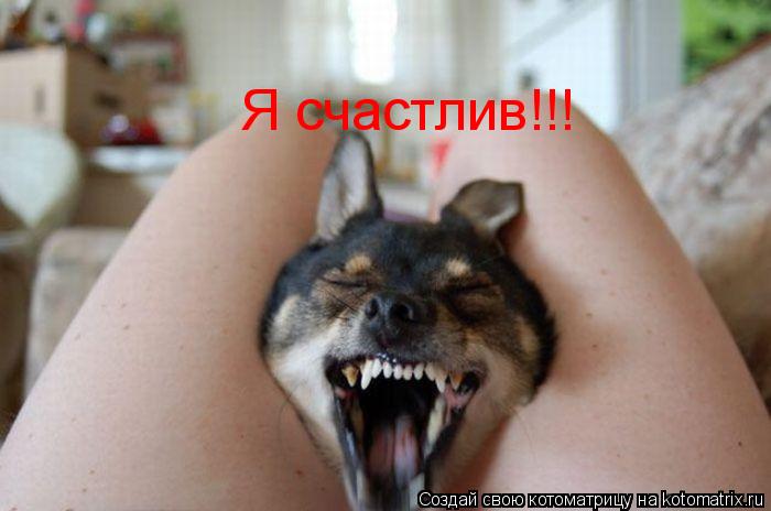 Я счастлив!!!... Котоматрица: Я счастлив!!!