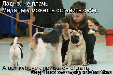 Ладно, не плачь. Медальку можешь оставить себе. А вот кубочек придется отдать!... Котоматрица: Ладно, не плачь. Медальку можешь оставить себе. А вот кубочек придется отдать!