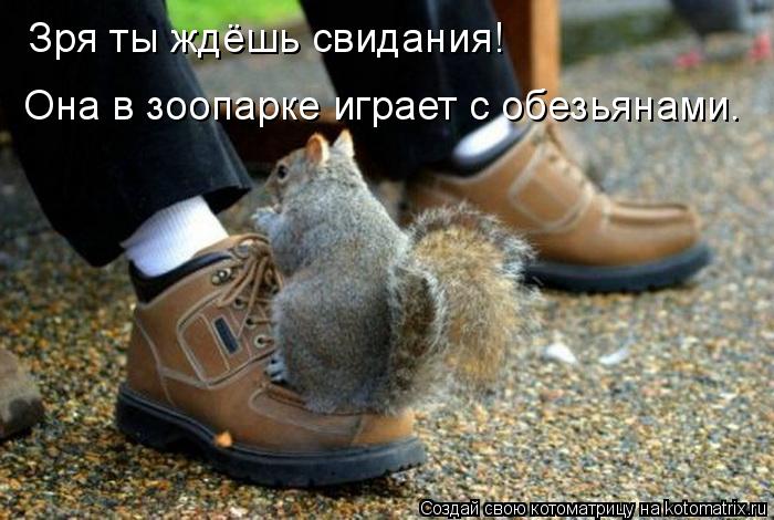 Зря ты ждёшь свидания! Она в зоопарке играет с обезьянами.... Котоматрица: Зря ты ждёшь свидания! Она в зоопарке играет с обезьянами.