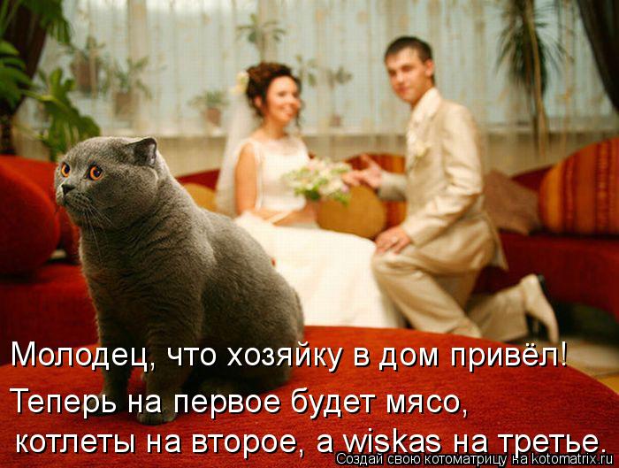 Молодец, что хозяйку в дом привёл! Теперь на первое будет мясо, котлеты на второе, а wiskas на треть... Котоматрица: Молодец, что хозяйку в дом привёл! Теперь на первое будет мясо, котлеты на второе, а wiskas на третье.