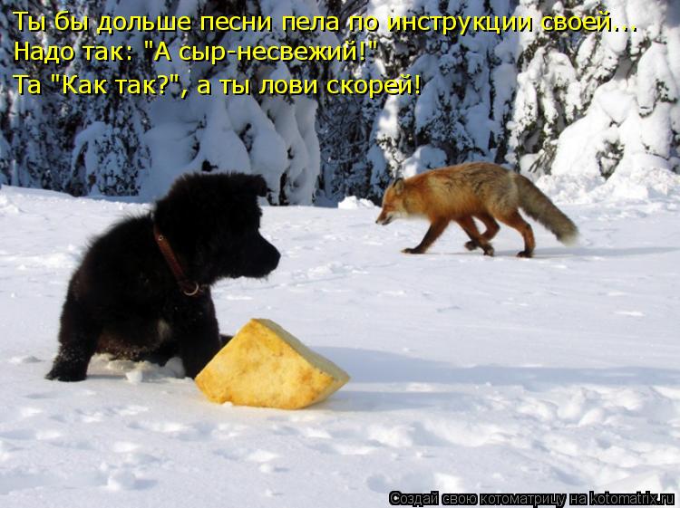 Ты бы дольше песни пела по инструкции своей... Надо так: "А сыр-несвежий!" Та "Как так?", а ты лови с... Котоматрица: Ты бы дольше песни пела по инструкции своей... Надо так: "А сыр-несвежий!" Та "Как так?", а ты лови скорей!