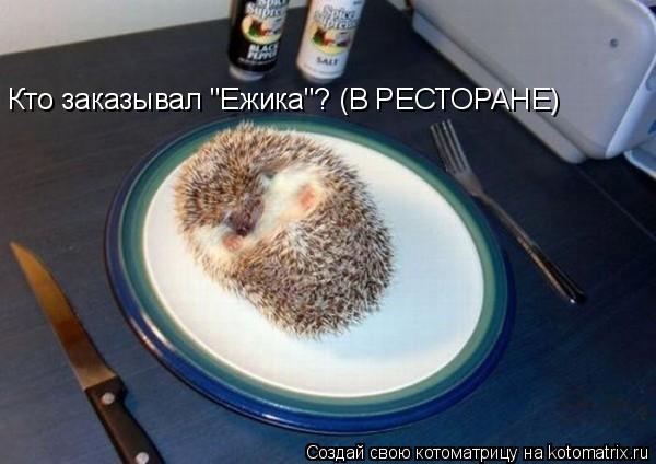 Кто заказывал "Ежика"? (В РЕСТОРАНЕ)... Котоматрица: Кто заказывал "Ежика"? (В РЕСТОРАНЕ)