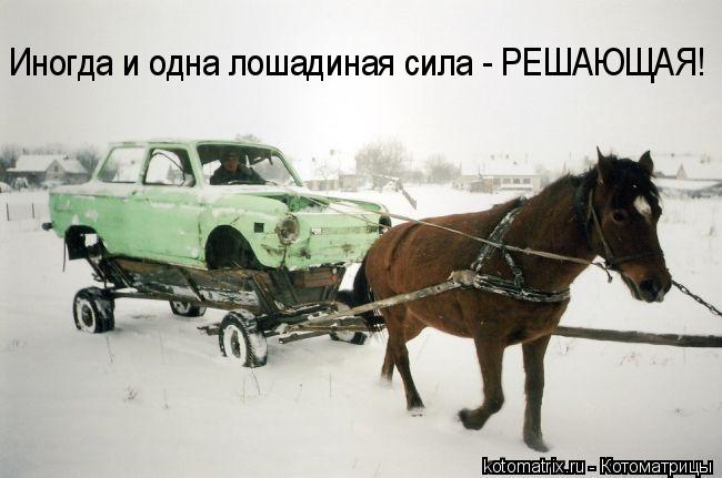 Иногда и одна лошадиная сила - РЕШАЮЩАЯ!... Котоматрица: Иногда и одна лошадиная сила - РЕШАЮЩАЯ!