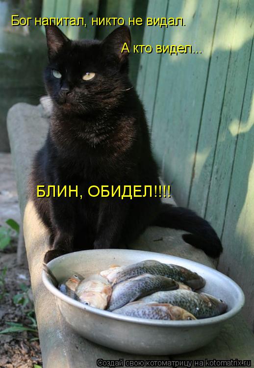 Бог напитал, никто не видал. А кто видел... БЛИН, ОБИДЕЛ!!!!... Котоматрица: Бог напитал, никто не видал. А кто видел... БЛИН, ОБИДЕЛ!!!!