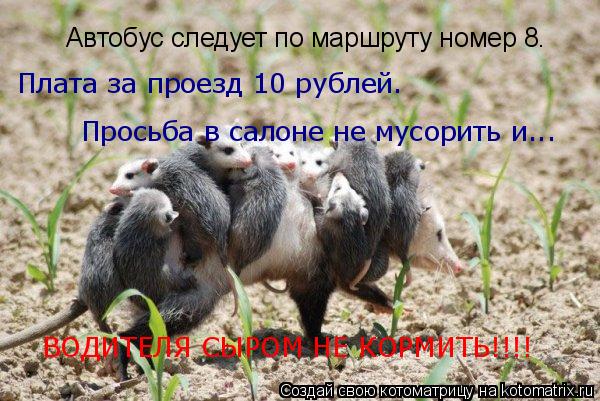 Автобус следует по маршруту номер 8. Плата за проезд 10 рублей. Просьба в салоне не мусорить и... ВОД... Котоматрица: Автобус следует по маршруту номер 8. Плата за проезд 10 рублей. Просьба в салоне не мусорить и... ВОДИТЕЛЯ СЫРОМ НЕ КОРМИТЬ!!!!
