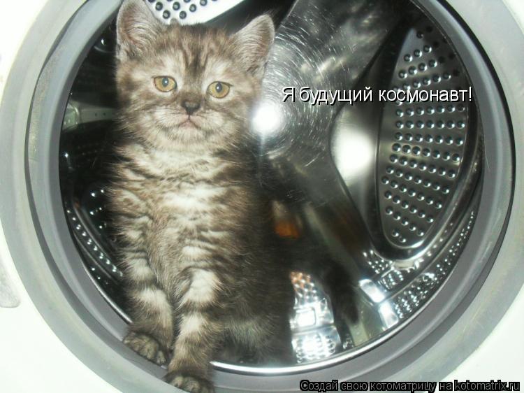 Я будущий космонавт!... Котоматрица: Я будущий космонавт!