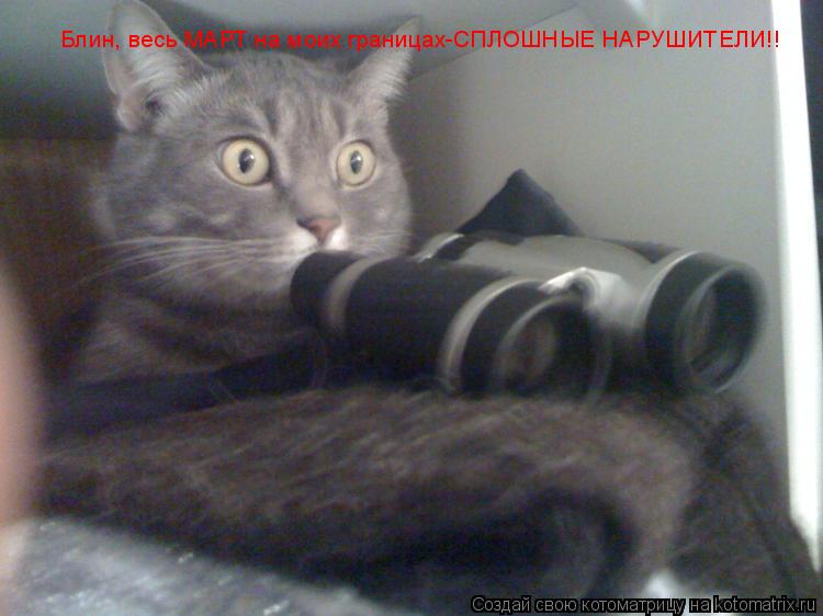 Котоматрица: Блин, весь МАРТ на моих границах-СПЛОШНЫЕ НАРУШИТЕЛИ!!