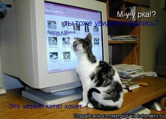 М-у-у рка!? ты тоже увидела надпись? Барсик и Мурка =сердечко Это хозяин котят хочет...... Котоматрица: М-у-у рка!? ты тоже увидела надпись? Барсик и Мурка =сердечко Это хозяин котят хочет...