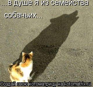 ...в душе я из семейства собачьих...... Котоматрица: ...в душе я из семейства собачьих...