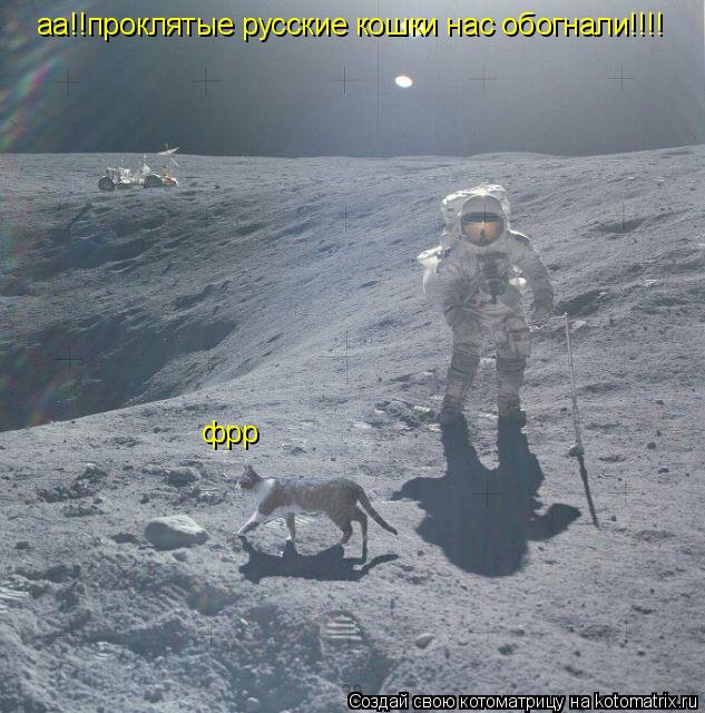 аа!!проклятые русские кошки нас обогнали!!!! фрр... Котоматрица: аа!!проклятые русские кошки нас обогнали!!!! фрр