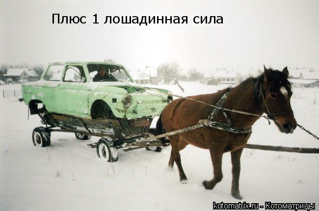 Плюс 1 лошадинная сила... Котоматрица: Плюс 1 лошадинная сила