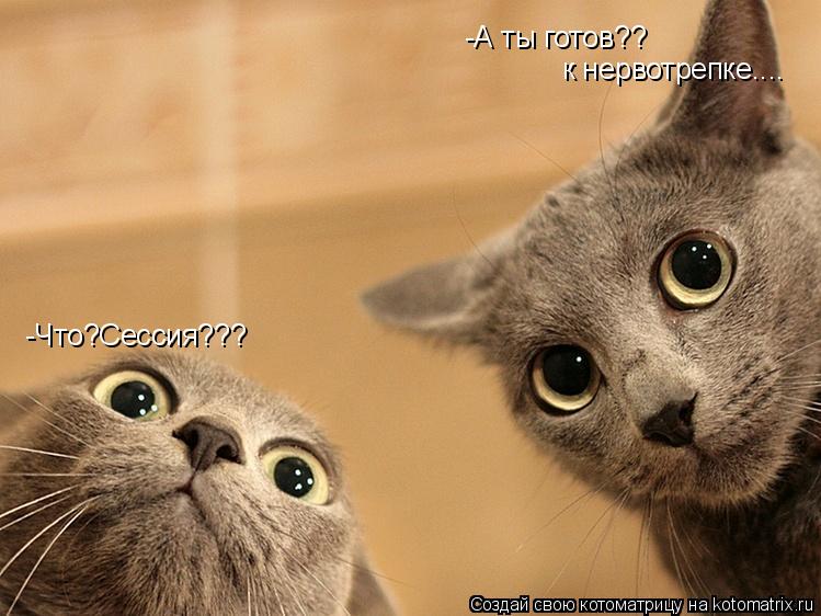 -Что?Сессия??? -А ты готов?? к нервотрепке....... Котоматрица: -Что?Сессия??? -А ты готов?? к нервотрепке....