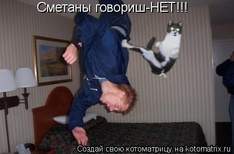 Сметаны говориш-НЕТ!!!... Котоматрица: Сметаны говориш-НЕТ!!!