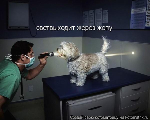 светвыходит жерез жопу... Котоматрица: светвыходит жерез жопу