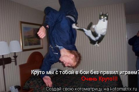 Круто мы с тобой в бои без правил играем?! Очень Круто!!!... Котоматрица: Круто мы с тобой в бои без правил играем?! Очень Круто!!!