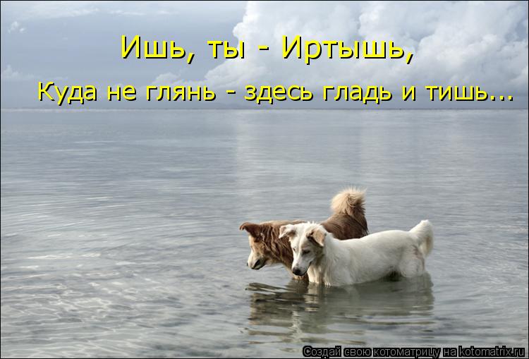 Ишь, ты - Иртышь, Куда не глянь - здесь гладь и тишь...... Котоматрица: Ишь, ты - Иртышь, Куда не глянь - здесь гладь и тишь...
