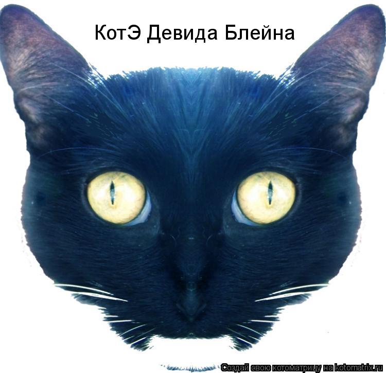 КотЭ Девида Блейна... Котоматрица: КотЭ Девида Блейна