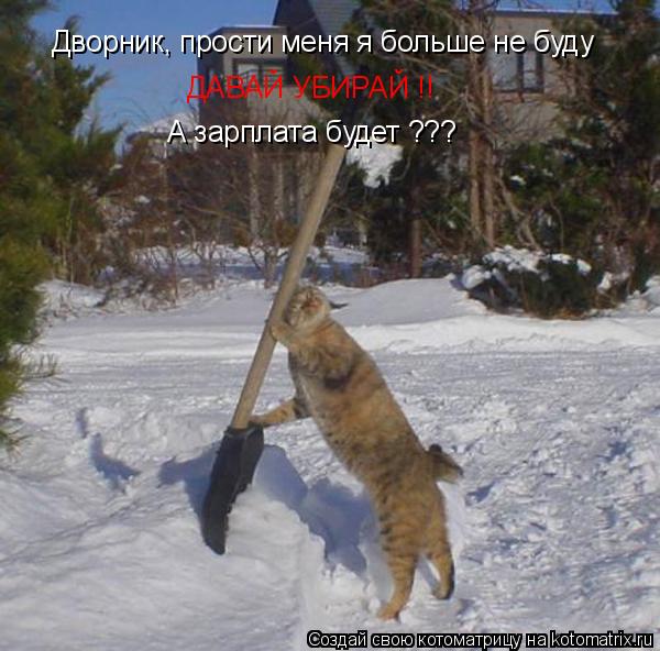 Дворник, прости меня я больше не буду ДАВАЙ УБИРАЙ !! А зарплата будет ???... Котоматрица: Дворник, прости меня я больше не буду ДАВАЙ УБИРАЙ !! А зарплата будет ???
