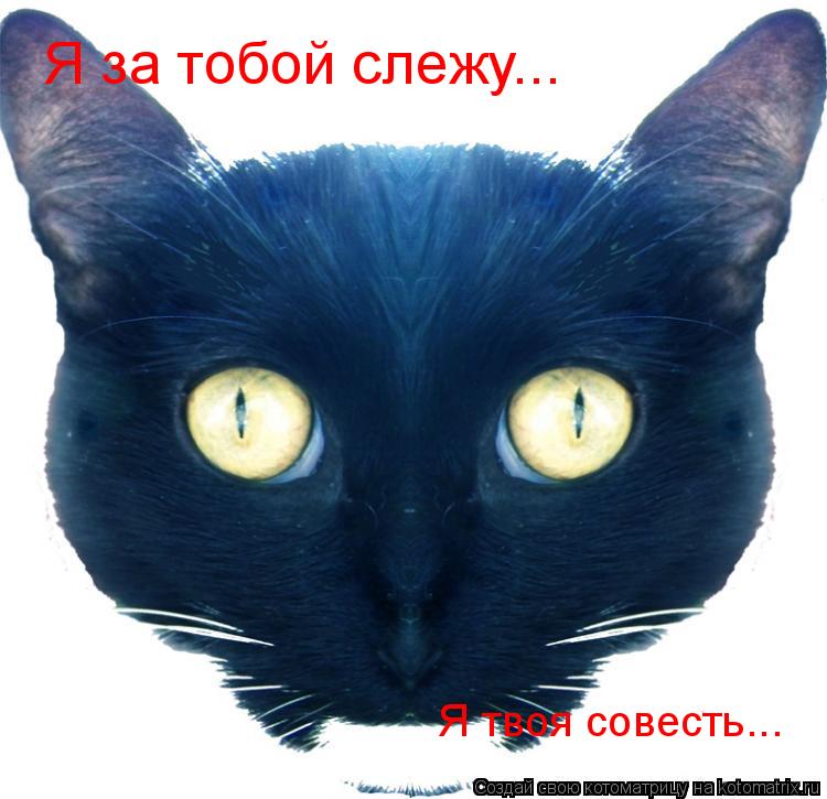 За тобой следят стих За тобой следят стих