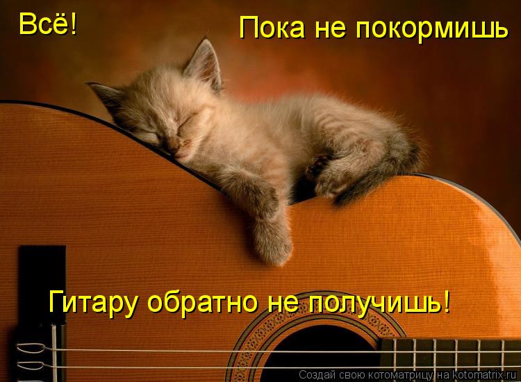 Всё! Пока не покормишь Гитару обратно не получишь!... Котоматрица: Всё! Пока не покормишь Гитару обратно не получишь!