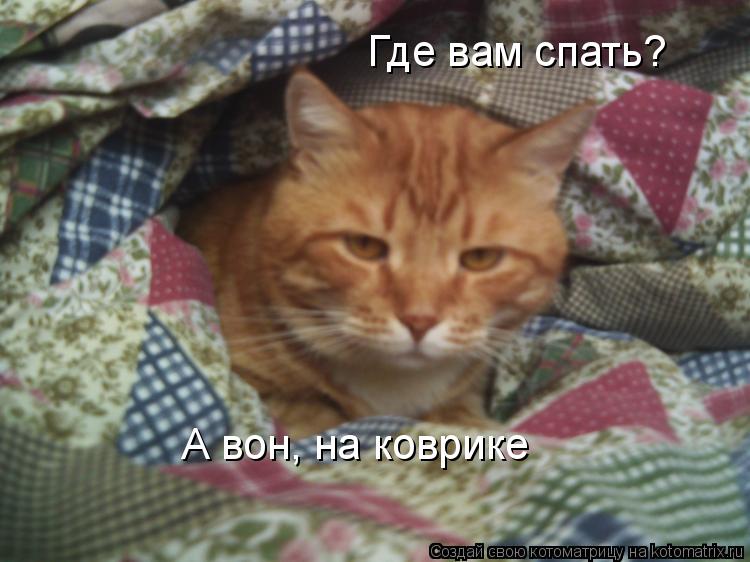 Где вам спать? А вон, на коврике... Котоматрица: Где вам спать? А вон, на коврике