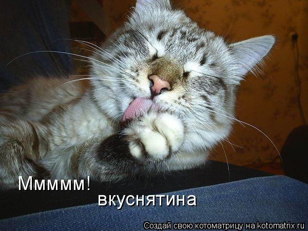 Ммммм! вкуснятина... Котоматрица: Ммммм! вкуснятина