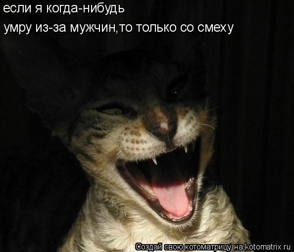 если я когда-нибудь умру из-за мужчин,то только со смеху... Котоматрица: если я когда-нибудь умру из-за мужчин,то только со смеху
