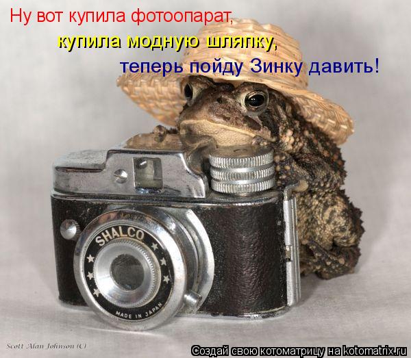 Ну вот купила фотоопарат, купила модную шляпку, теперь пойду Зинку давить!... Котоматрица: Ну вот купила фотоопарат, купила модную шляпку, теперь пойду Зинку давить!