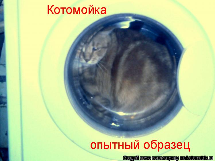 Котомойка опытный образец... Котоматрица: Котомойка опытный образец