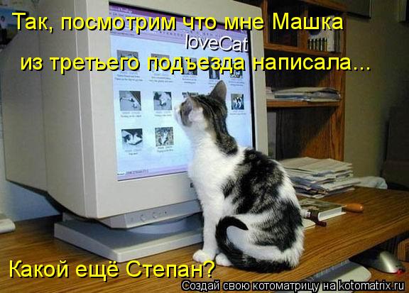 Котоматрица: Так, посмотрим что мне Машка из третьего подъезда написала... loveCat Какой ещё Степан?