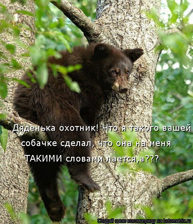 Котоматрица: ТАКИМИ словами лается,а??? Дяденька охотник! Что я такого вашей собачке сделал, что она на меня