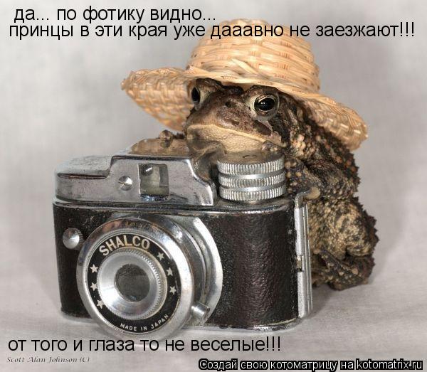 да... по фотику видно... принцы в эти края уже дааавно не заезжают!!! от того и глаза то не веселые!!... Котоматрица: да... по фотику видно... принцы в эти края уже дааавно не заезжают!!! от того и глаза то не веселые!!!