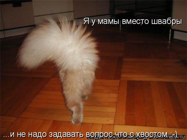 Я у мамы вместо швабры ...и не надо задавать вопрос что с хвостом :-)... Котоматрица: Я у мамы вместо швабры ...и не надо задавать вопрос что с хвостом :-)