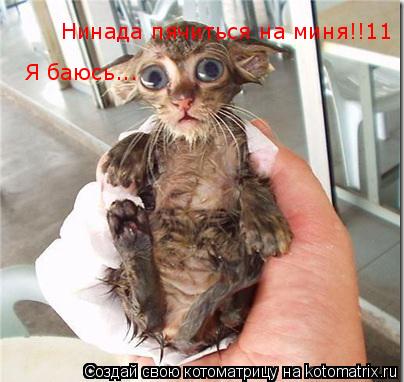 Котоматрица: Нинада пячиться на миня!!11  Я баюсь...