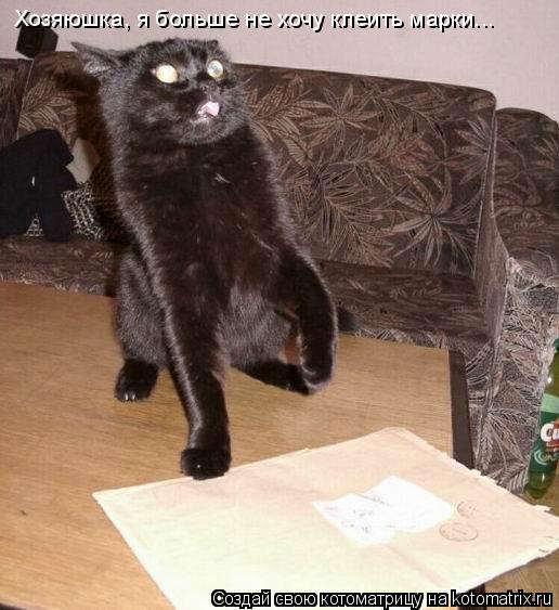 Хозяюшка, я больше не хочу клеить марки...... Котоматрица: Хозяюшка, я больше не хочу клеить марки...