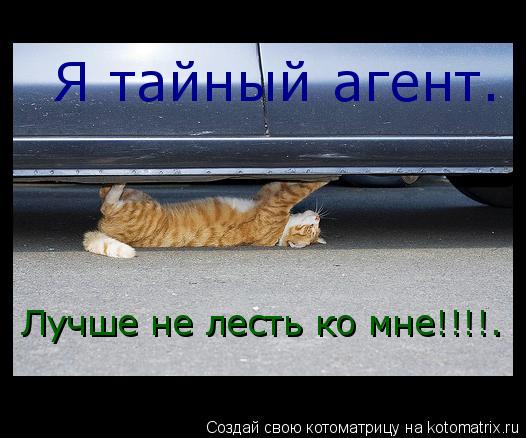 Котоматрица: Я тайный агент. Лучше не лесть ко мне!!!!.