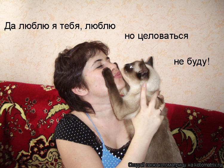Котоматрица: Да люблю я тебя, люблю но целоваться  не буду!