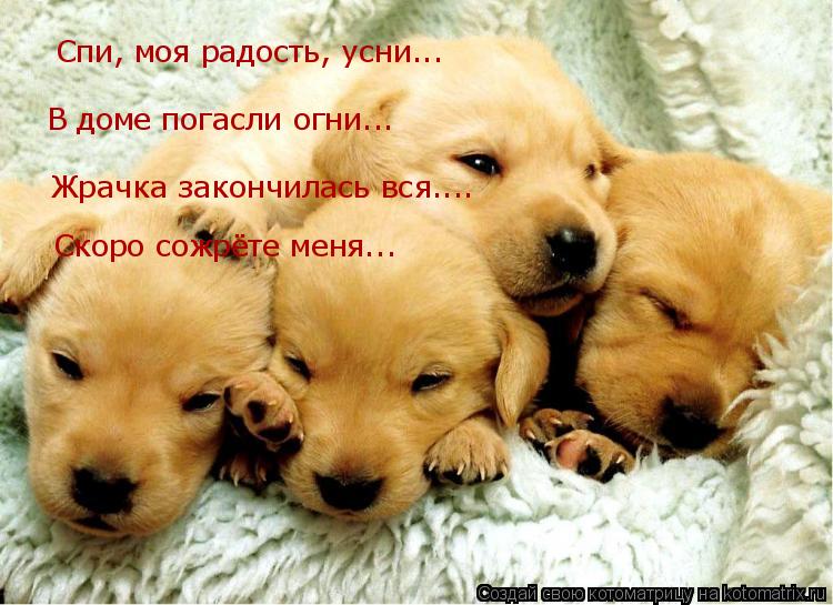 Котоматрица: Спи, моя радость, усни... В доме погасли огни... Жрачка закончилась вся.... Скоро сожрёте меня...