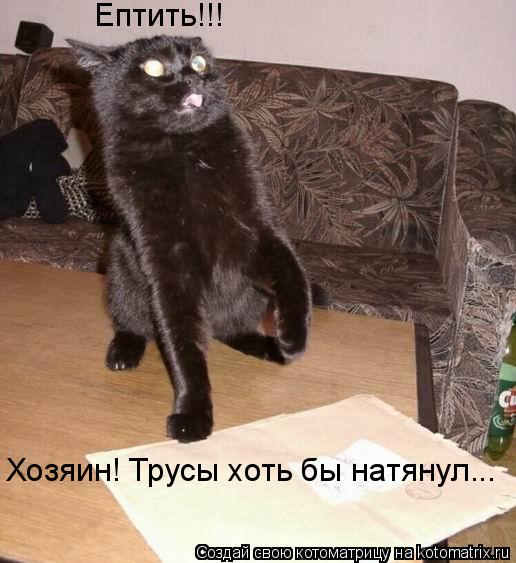 Ептить!!! Хозяин! Трусы хоть бы натянул...... Котоматрица: Ептить!!! Хозяин! Трусы хоть бы натянул...