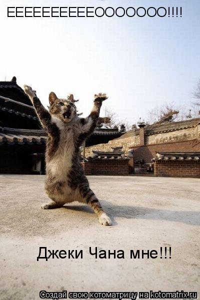 ЕЕЕЕЕЕЕЕЕЕООООООО!!!! Джеки Чана мне!!!... Котоматрица: ЕЕЕЕЕЕЕЕЕЕООООООО!!!! Джеки Чана мне!!!