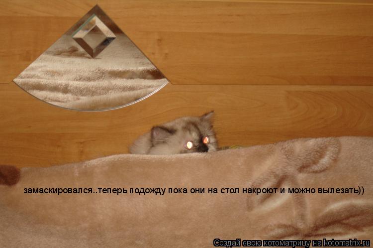 замаскировался..теперь подожду пока они на стол накроют и можно вылезать))... Котоматрица: замаскировался..теперь подожду пока они на стол накроют и можно вылезать))