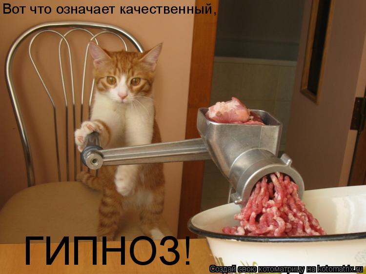 Вот что означает качественный, ГИПНОЗ!... Котоматрица: Вот что означает качественный, ГИПНОЗ!