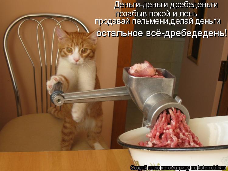 Деньги-деньги дребеденьги позабыв покой и лень продавай пельмени,делай деньги остальное всё-дребедеде... Котоматрица: Деньги-деньги дребеденьги позабыв покой и лень продавай пельмени,делай деньги остальное всё-дребедедень!