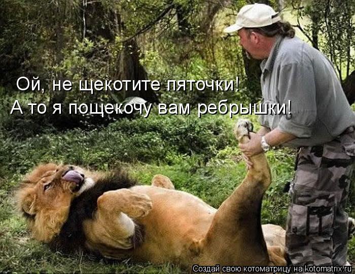 Ой, не щекотите пяточки! А то я пощекочу вам ребрышки!... Котоматрица: Ой, не щекотите пяточки! А то я пощекочу вам ребрышки!
