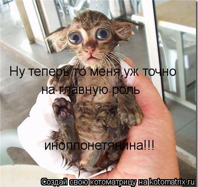 Ну теперь то меня уж точно на главную роль иноплонетянина!!!... Котоматрица: Ну теперь то меня уж точно на главную роль иноплонетянина!!!
